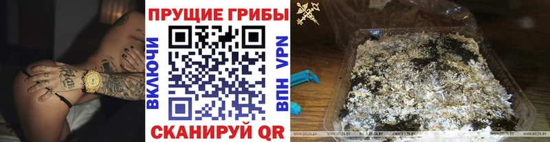 Галлюциногенные грибы Cubensis  Полярный 
